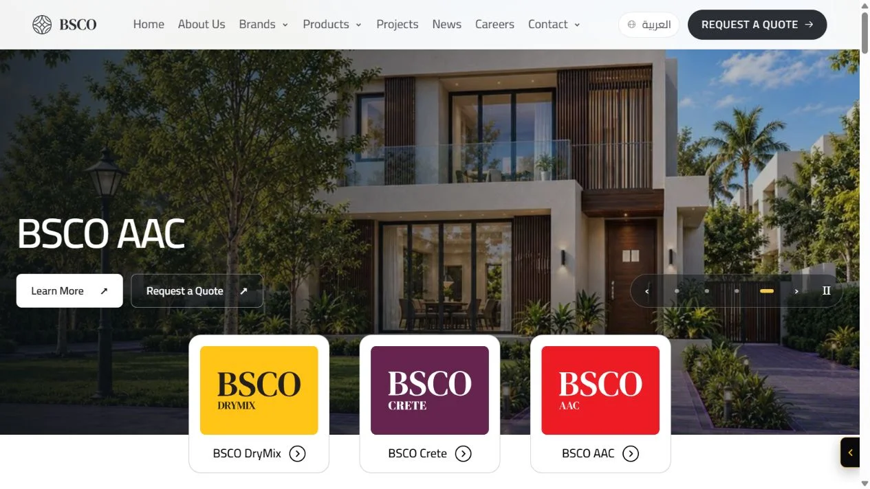 BSCO website screenshot from the founder’s previous client project